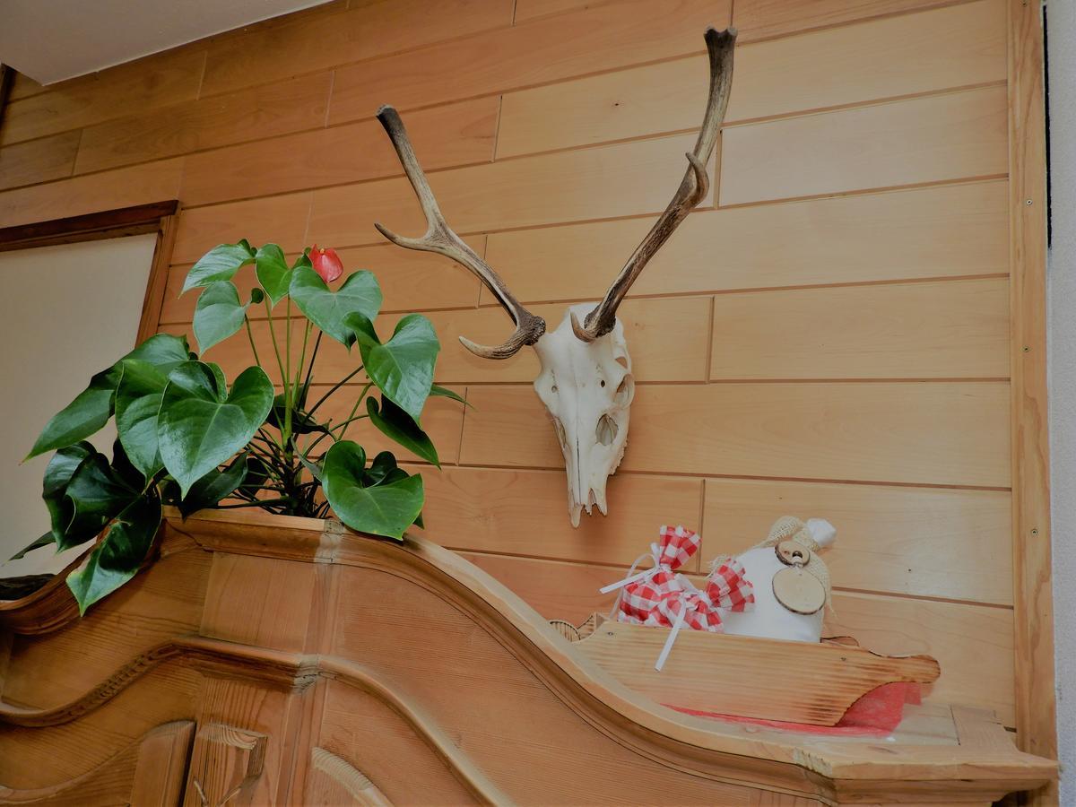 Hotel Hohe Tauern Матрей ин Остирол Екстериор снимка